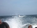 BillC pix_IMG_0134